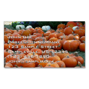 Carte De Visite Magnétique Photographie de récolte d'automne des citrouilles 
