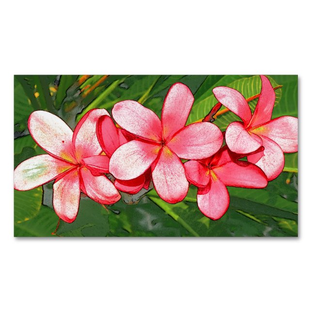 Carte De Visite Magnétique Plumeria (devant)