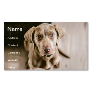 Carte De Visite Magnétique Portrait de chien