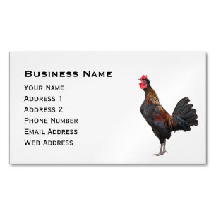 Carte De Visite Magnétique Poulet sur le blanc
