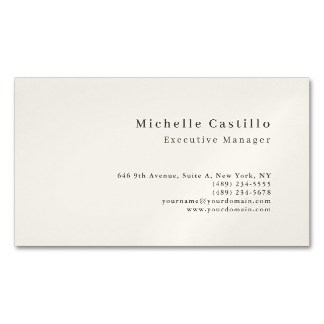Carte De Visite Magnétique Professional Minimalist Modern (devant)