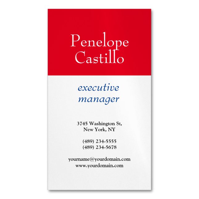Carte De Visite Magnétique Professionnel Moderne Simple Bleu Rouge Blanc (devant Vertical)