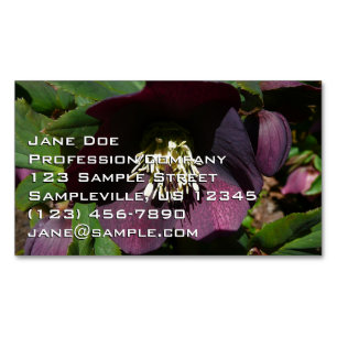Carte De Visite Magnétique Purple Carême Rose Pâques