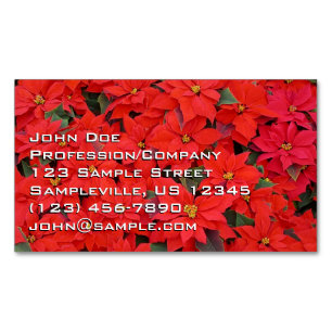 Carte De Visite Magnétique Red Poinsettias I Christmas Holiday Floral Photo