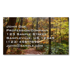 Carte De Visite Magnétique Sentier ensoleillé d'automne dans le parc d'État d