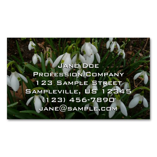 Carte De Visite Magnétique Snowdrops I (devant)