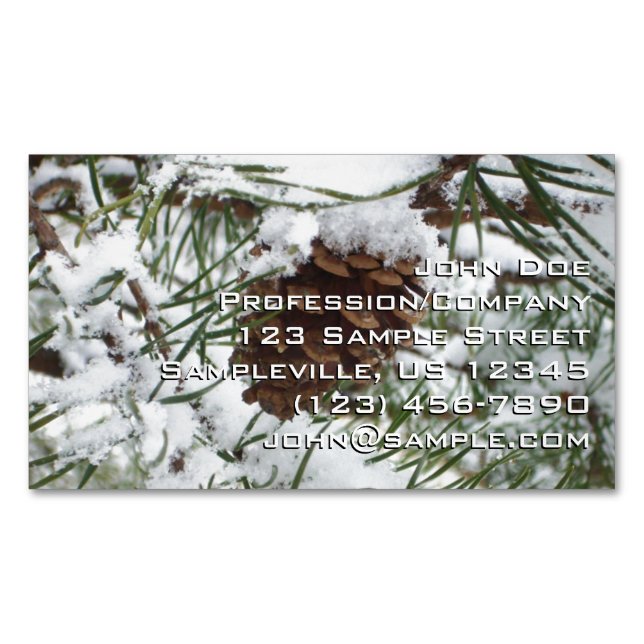 Carte De Visite Magnétique Snowy Pine Cone I (devant)