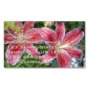 Carte De Visite Magnétique Stargazer Lilies Jardin Floral
