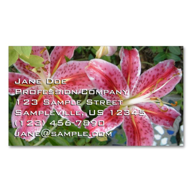 Carte De Visite Magnétique Stargazer Lilies Jardin Floral (devant)