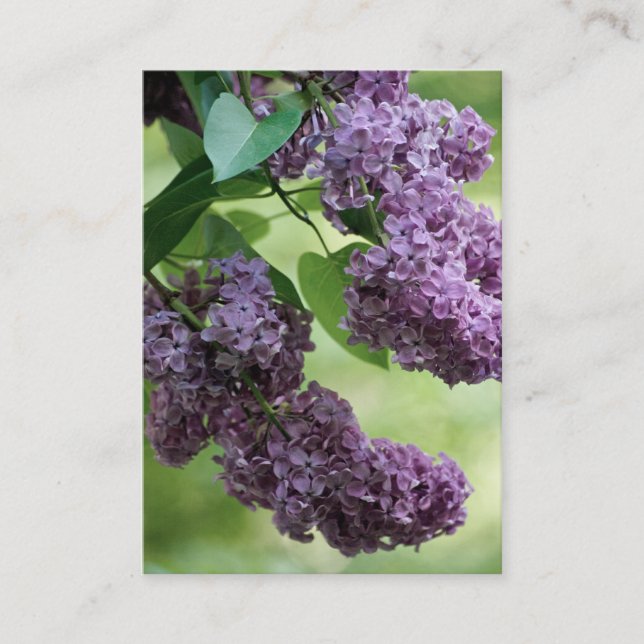 Carte De Visite Magnifique Mini impression Printemps (Devant)