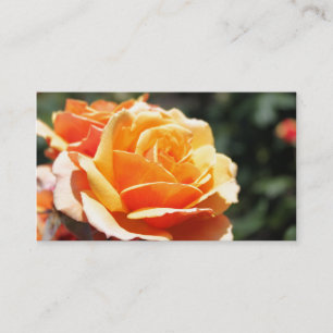 Carte De Visite Magnifique professionnel de fleurs de rose jaune o