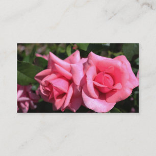 Carte De Visite magnifiques fleurs de rose double parfait rose cha