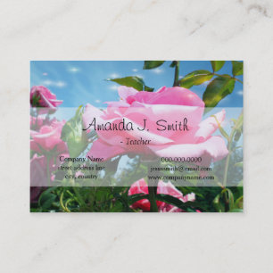 Carte De Visite Magnifiques fleurs de rose rose dans un ciel bleu 
