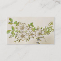 Magnolia de Lousiana