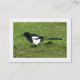 Carte De Visite Magpie européenne (Bordé)