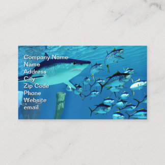 Carte De Visite Mako Shark après le thon albacore