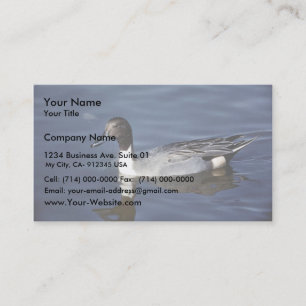 Carte De Visite Mâle de canard de canard pilet du nord