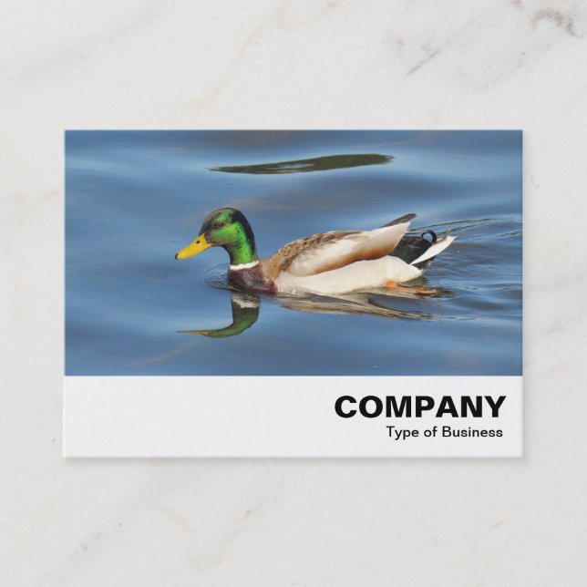 Carte De Visite Mallard Duck (Devant)