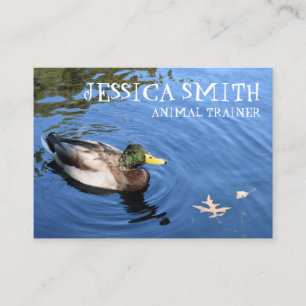Carte De Visite Mallard Duck Bird Blue Water Nature Photographie