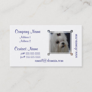 Carte De Visite Maltais adorable