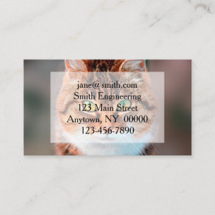 Carte De Visite Manx Chat Visage