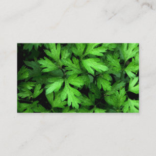 Carte De Visite Marché aux herbes fraîches