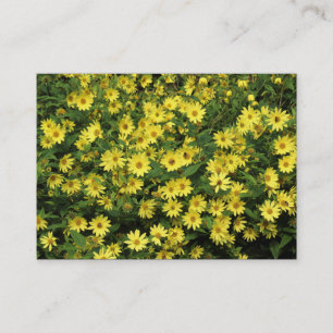 Carte De Visite Marguerites jaunes