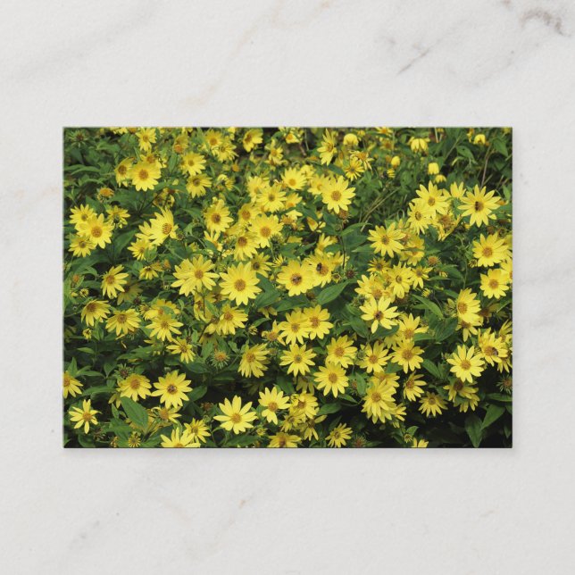 Carte De Visite Marguerites jaunes (Devant)