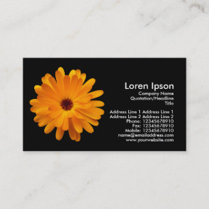Carte De Visite Marigold orange - Noir