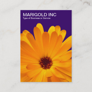 Carte De Visite Marigold orange - Violet profond
