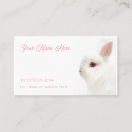Carte De Visite Mélange Blanc Nain Lapin Délicat Oreilles Sitter A