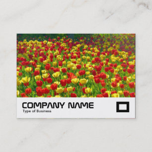 Carte De Visite Mer des Tulipes