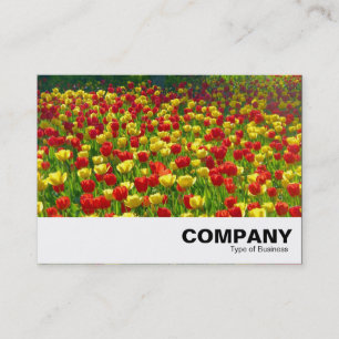 Carte De Visite Mer des Tulipes