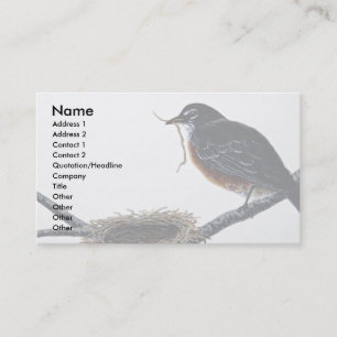 Carte De Visite Merle américain construisant un nid