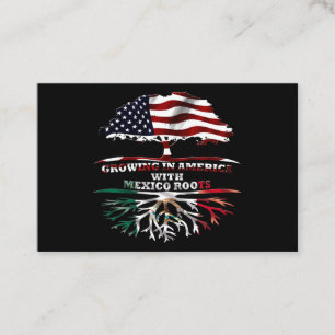 Carte De Visite Mexique