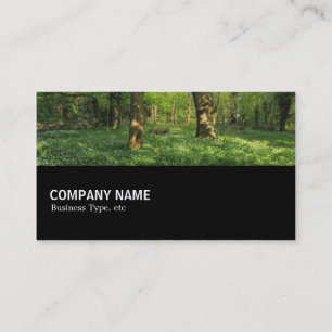 Carte De Visite Mi-chemin 0145 - Printemps dans les bois