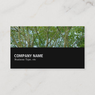 Carte De Visite Mi-chemin 080 - Érable japonais