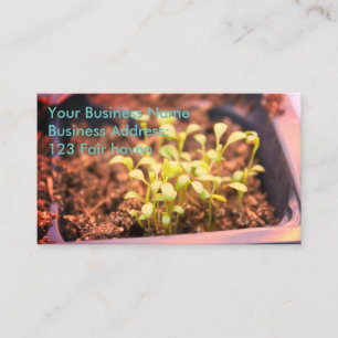 Carte De Visite Microgreens