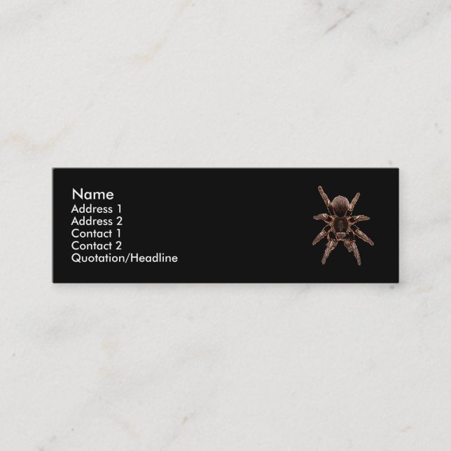 Carte De Visite Mini Araignée de tarentule (Devant)