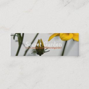 Carte De Visite Mini Bidens Jaunes