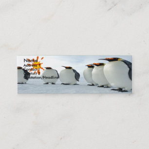 Carte De Visite Mini Blues Brothers