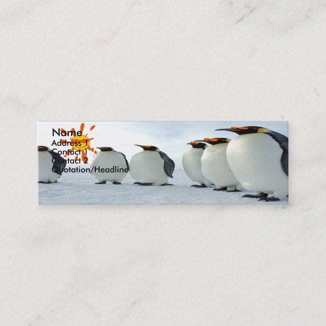 Carte De Visite Mini Blues Brothers (Devant)