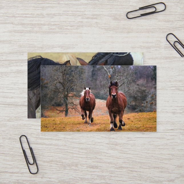 Carte De Visite Mini Business Cards Visitenkarte (Vorderseite/Rückseite Beispiel)