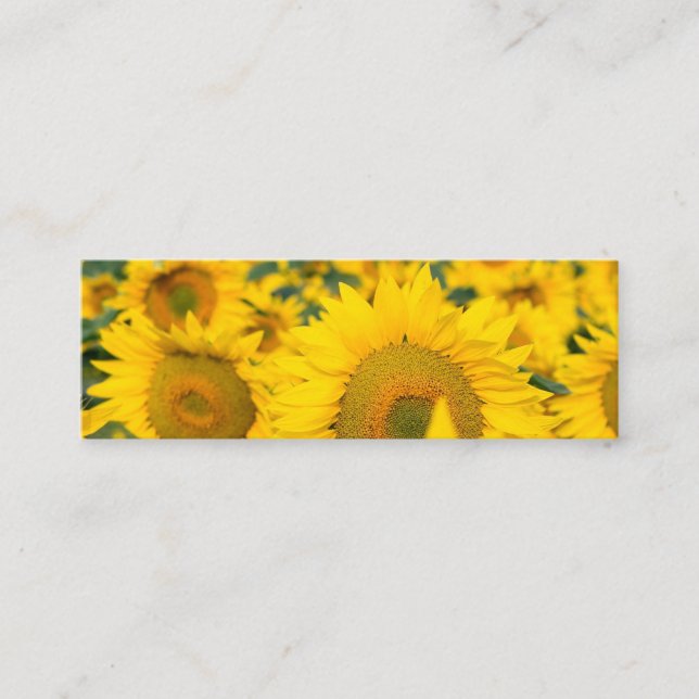 Carte De Visite Mini Champ jaune de tournesols photo (Devant)