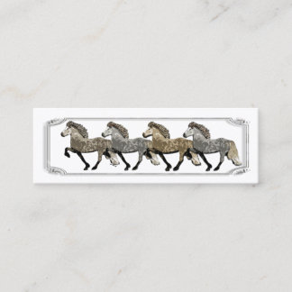 Carte De Visite Mini Chevaux islandais Astrid