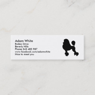 Carte De Visite Mini Chien de caniche