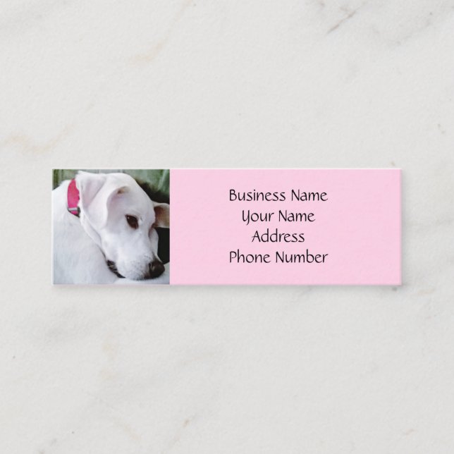 Carte De Visite Mini Cute Labrador Mix Chien Rose Élégant (Devant)