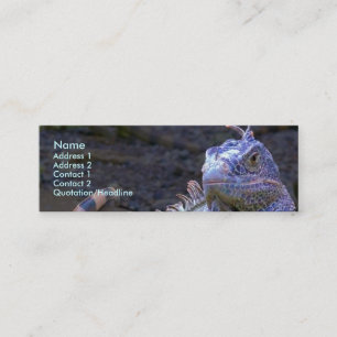 Carte De Visite Mini Échelles obtenues ?