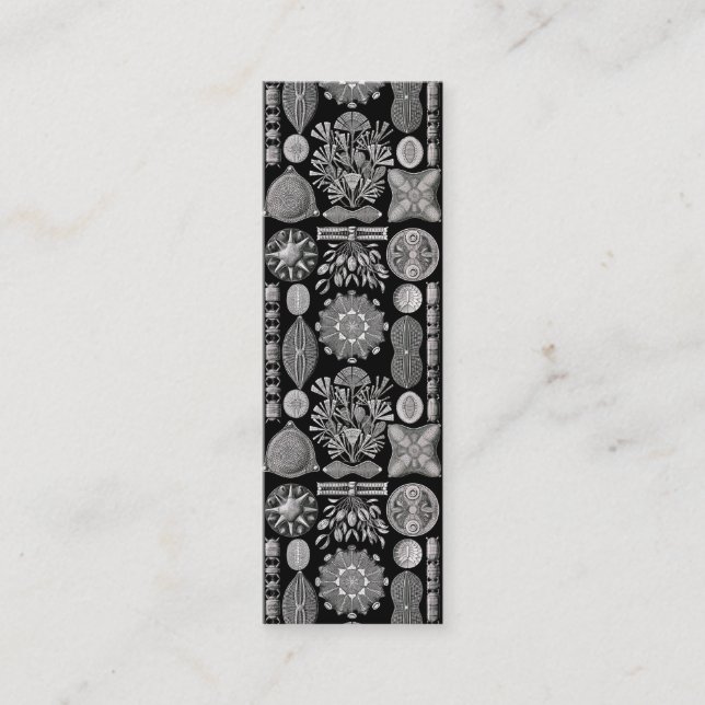 Carte De Visite Mini Ernst Haeckel Diatomea (Devant)
