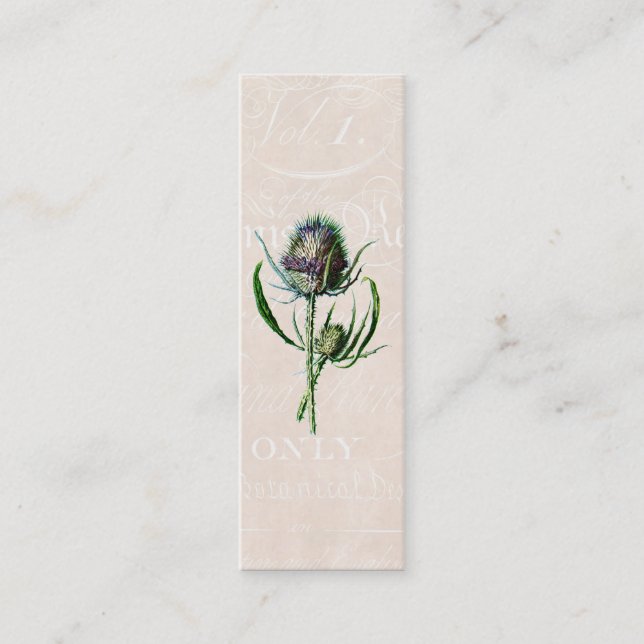 Carte De Visite Mini Fleur sauvage de chardon d'écossais du cru 1902 (Devant)